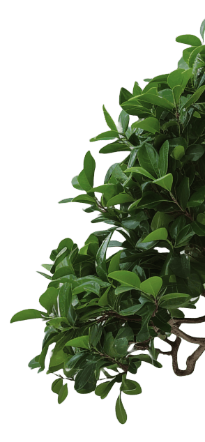 prodevelopment tree
